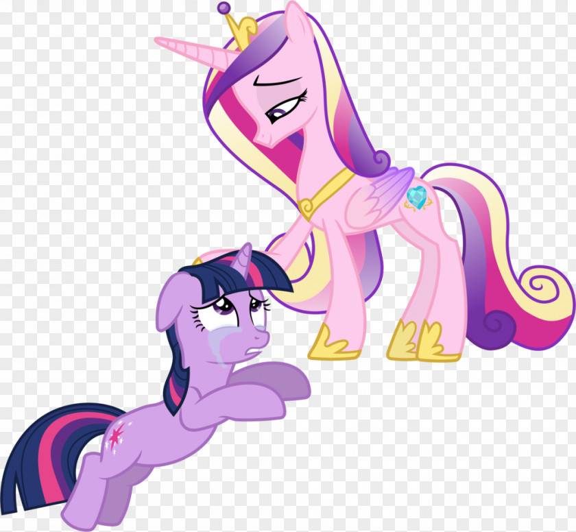 Lot Vector Pony Twilight Sparkle Princess Cadance Rainbow Dash The Saga PNG