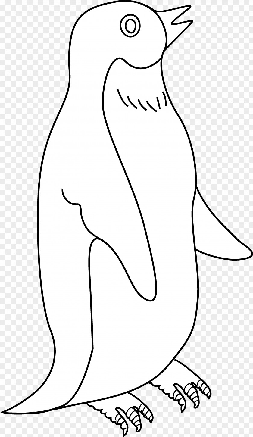 Penguins Club Penguin Emperor Clip Art PNG