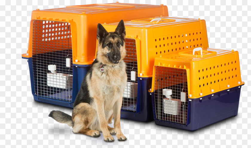 Travel Abroad Dog Crate Pet Transport PNG