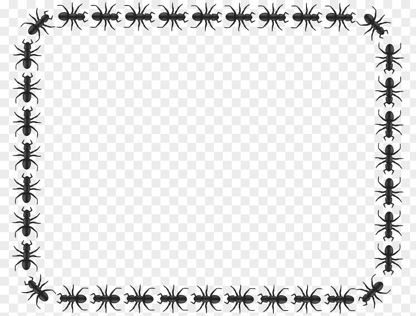 Ants Hey, Little Ant Clip Art PNG