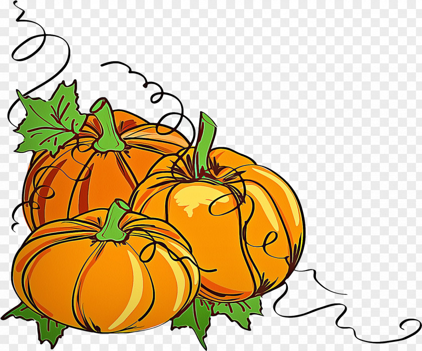 Cucurbita Plant Pumpkin PNG