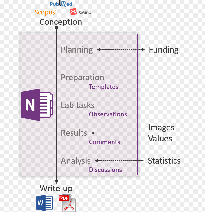 Line Document Microsoft OneNote Angle PNG