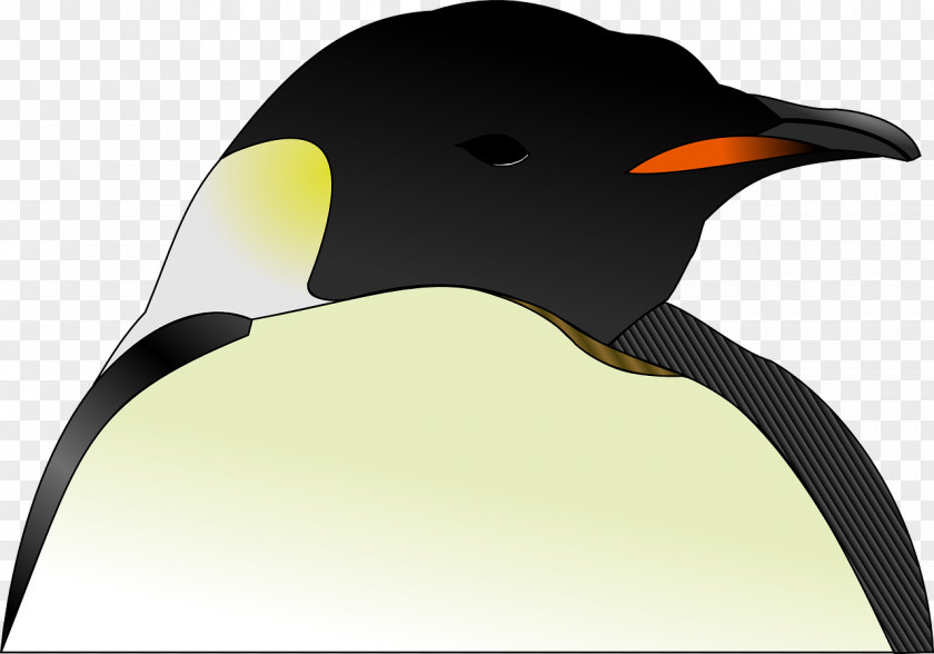 Ping Pong Penguin Clip Art PNG