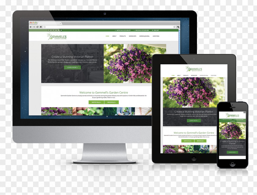 Web Design Page PNG