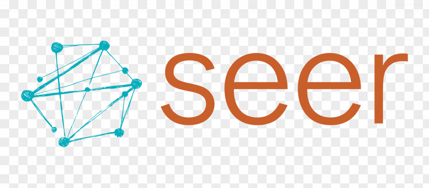 Business Seer Interactive Search Engine Optimization Digital Marketing PNG
