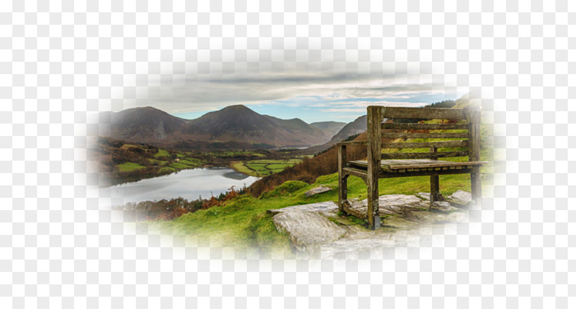 Chair Landscape Bench Nature Landscaping PNG