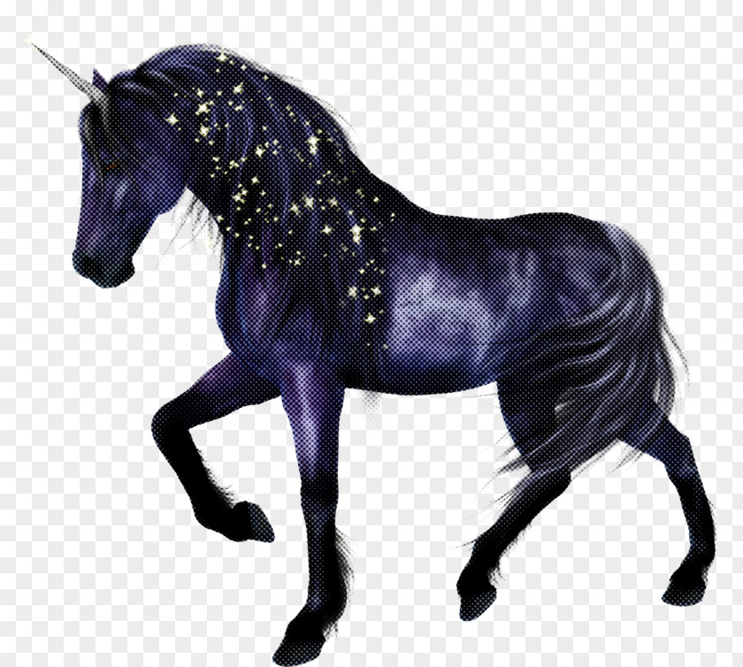 Shetland Pony Mare Unicorn PNG
