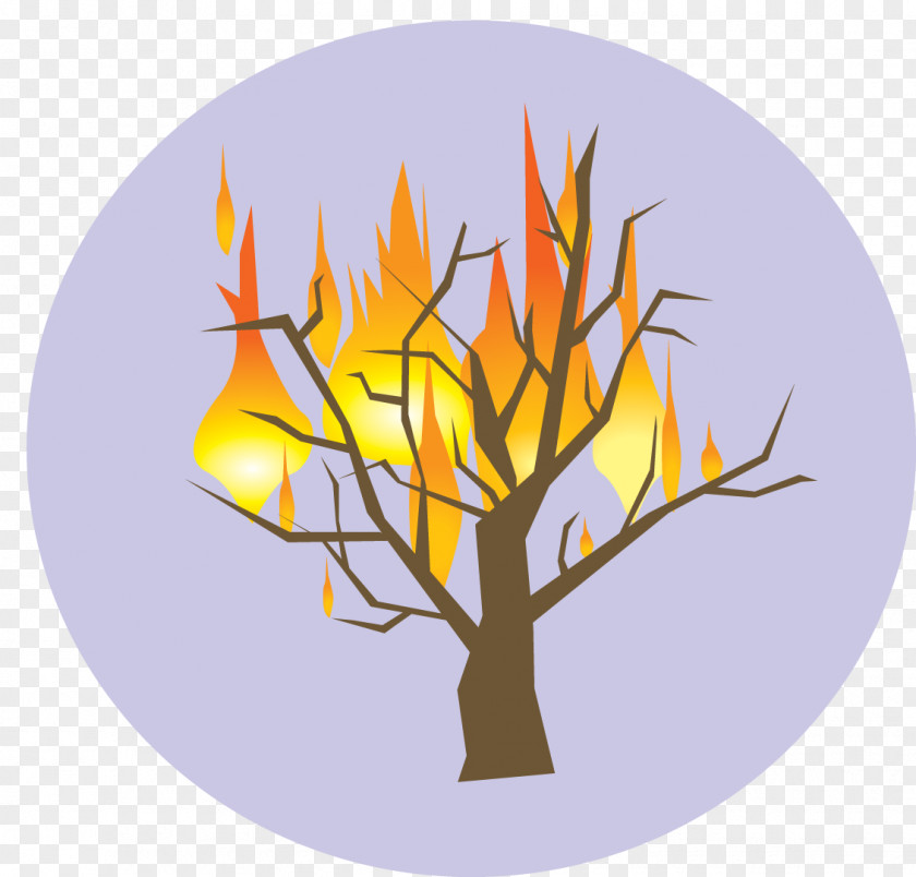 Symbol Burning Bush Tree Of Jesse God Presbyterianism PNG