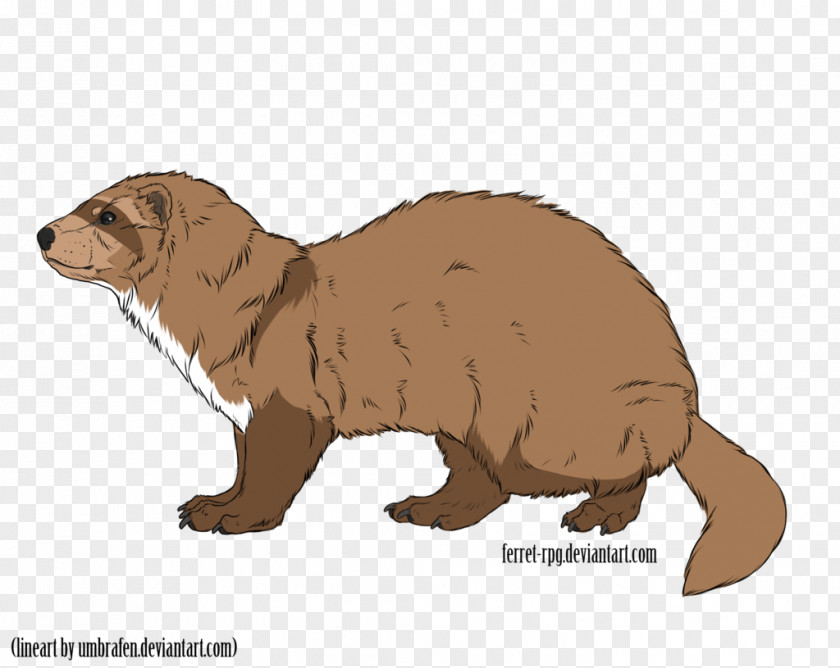 Toast Drawing Mustelids Beaver Marmot Whiskers Snout PNG