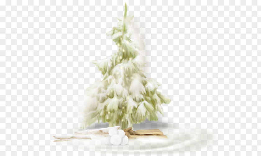 Tree Christmas Fir PNG