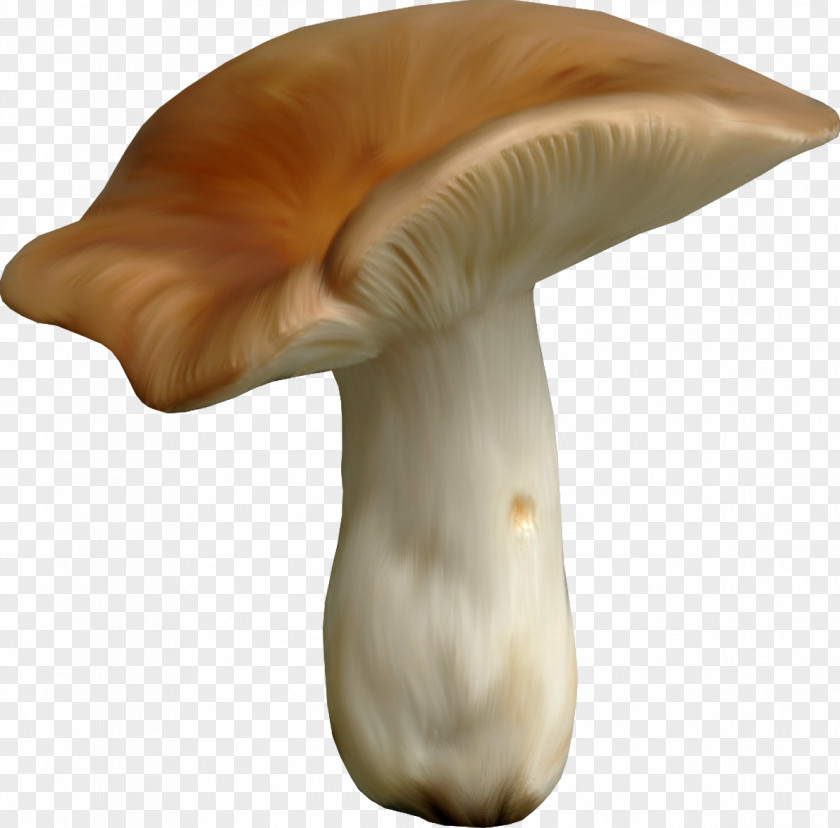 Vegetable Icon Picture Material,mushroom Clip Art PNG