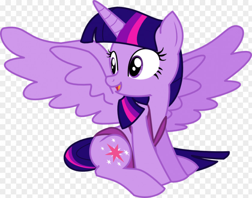 Ben Vector Pony Twilight Sparkle Rarity Pinkie Pie Rainbow Dash PNG