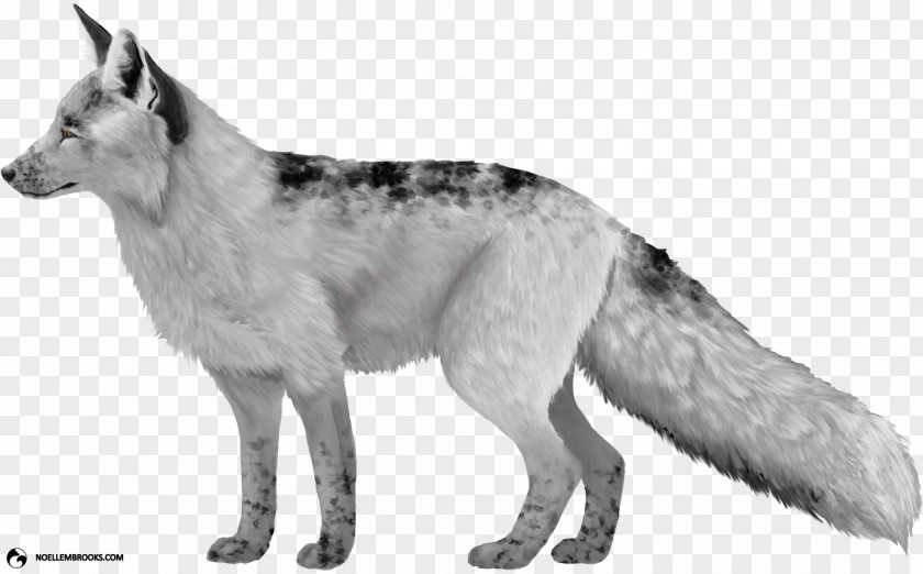 Fox Czechoslovakian Wolfdog Saarloos Seppala Siberian Sleddog Domesticated Red PNG