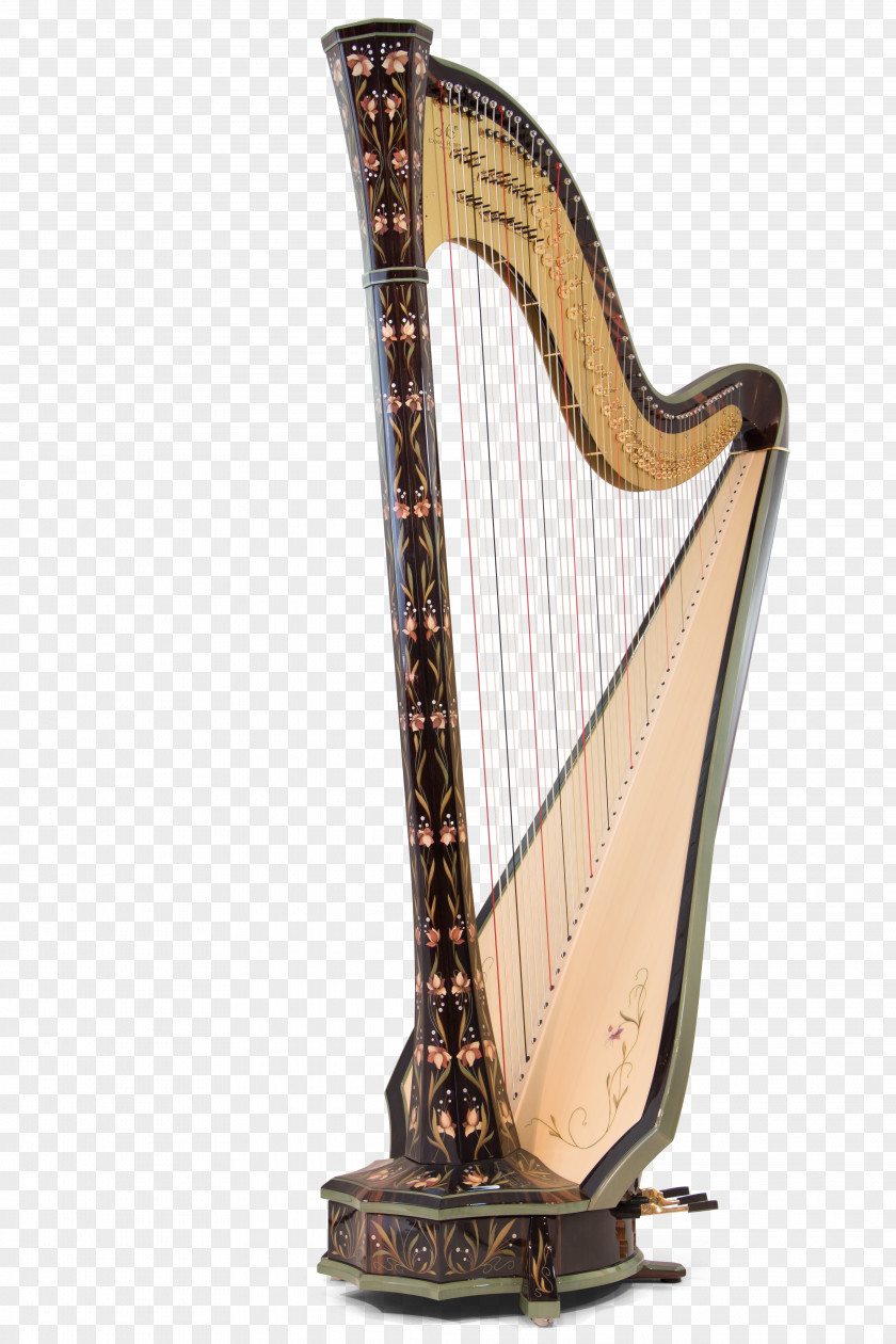 Harp Celtic Camac Harps Konghou World Congress PNG