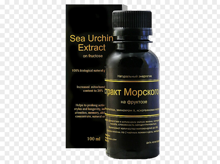 Health Sea Urchin Extract Longevity PNG