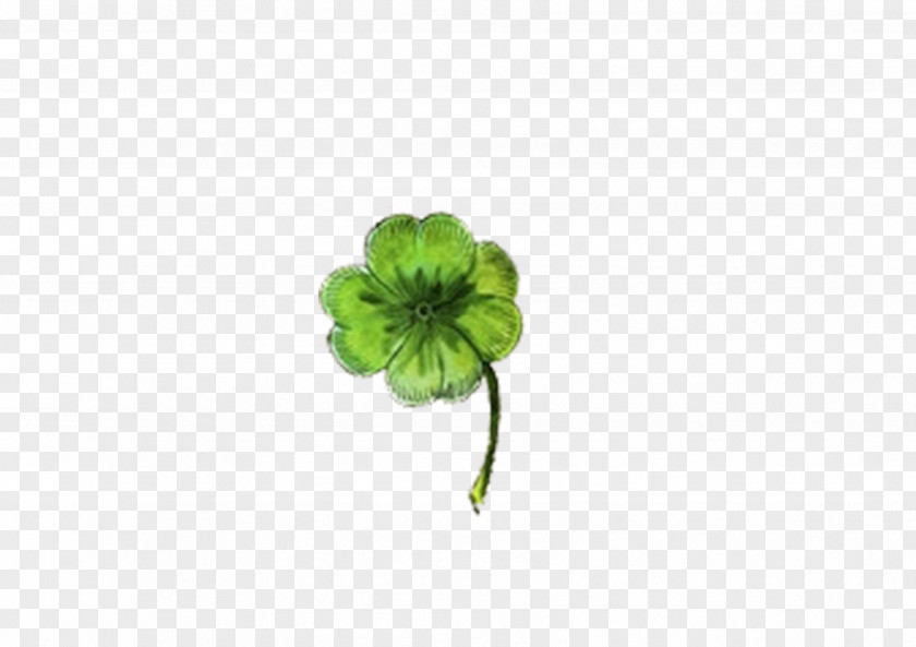 Clover Painted Four-leaf PNG
