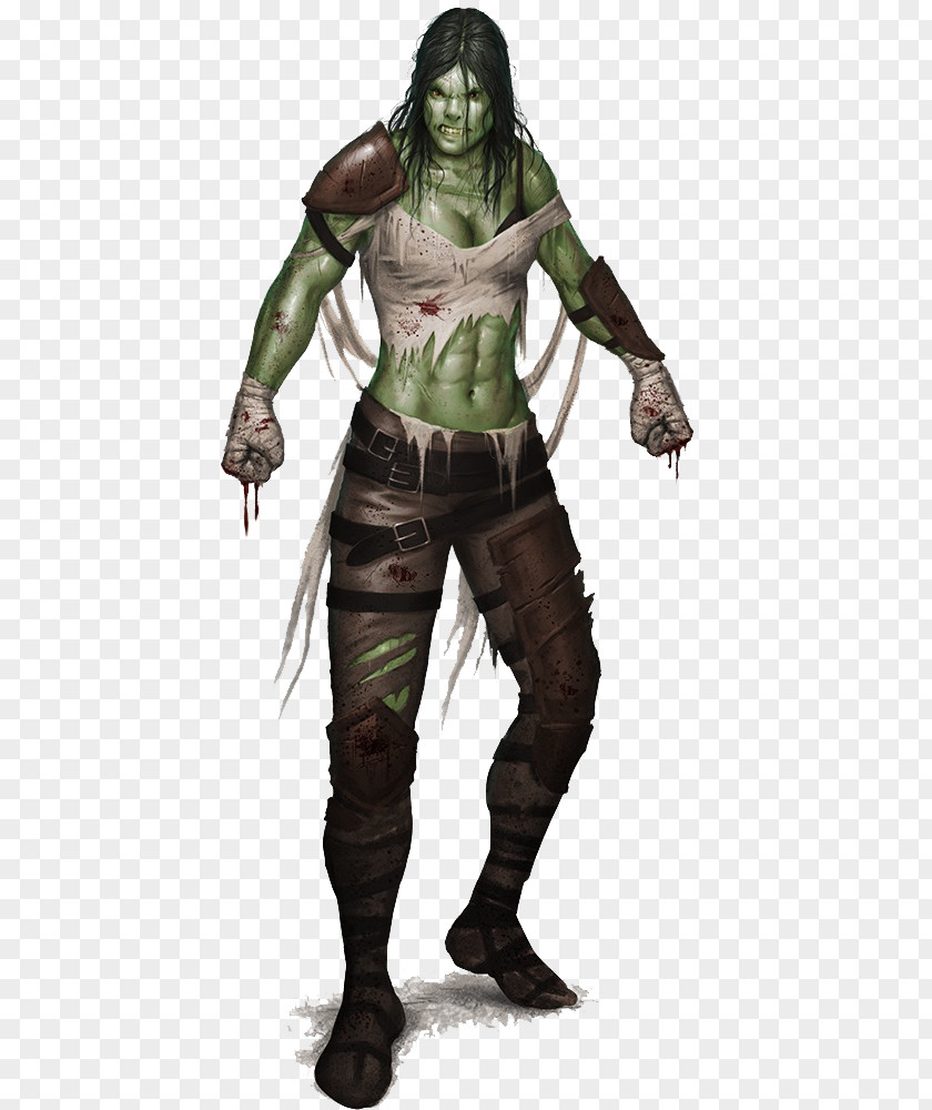Elf Pathfinder Roleplaying Game Dungeons & Dragons D20 System Half-orc PNG