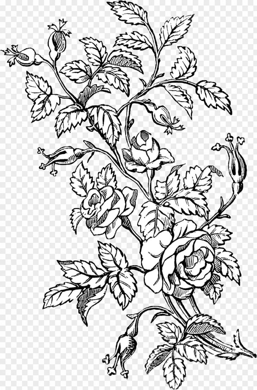 Flower Abziehtattoo Tattoo Ink Rose PNG