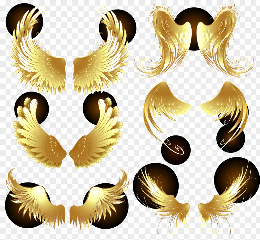 Golden Wings Adobe Illustrator PNG