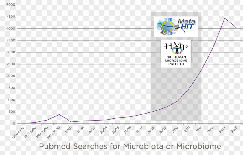 Microbiota Gut Flora PubMed Germ-free Animal Immune System PNG