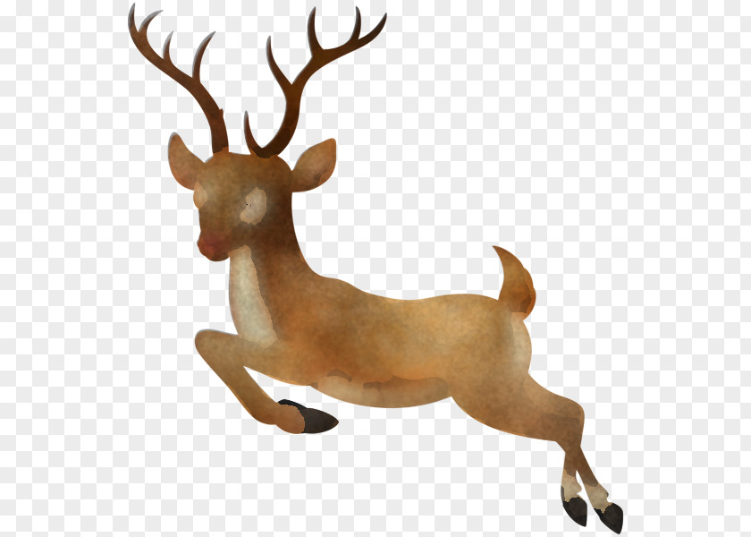 Tail Fawn Reindeer PNG