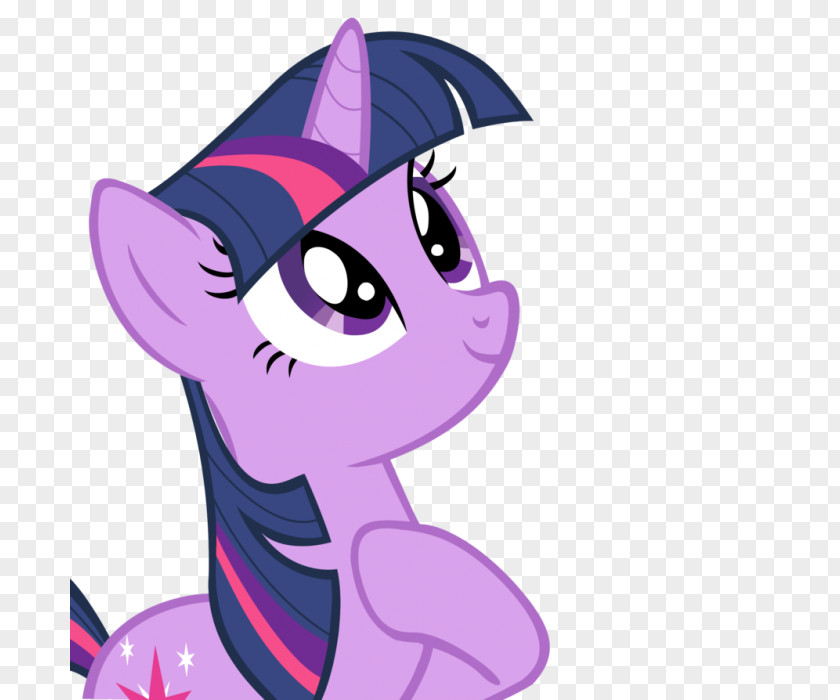 Twilight Sparkle Pony Rainbow Dash Rarity The Crystal Empire PNG