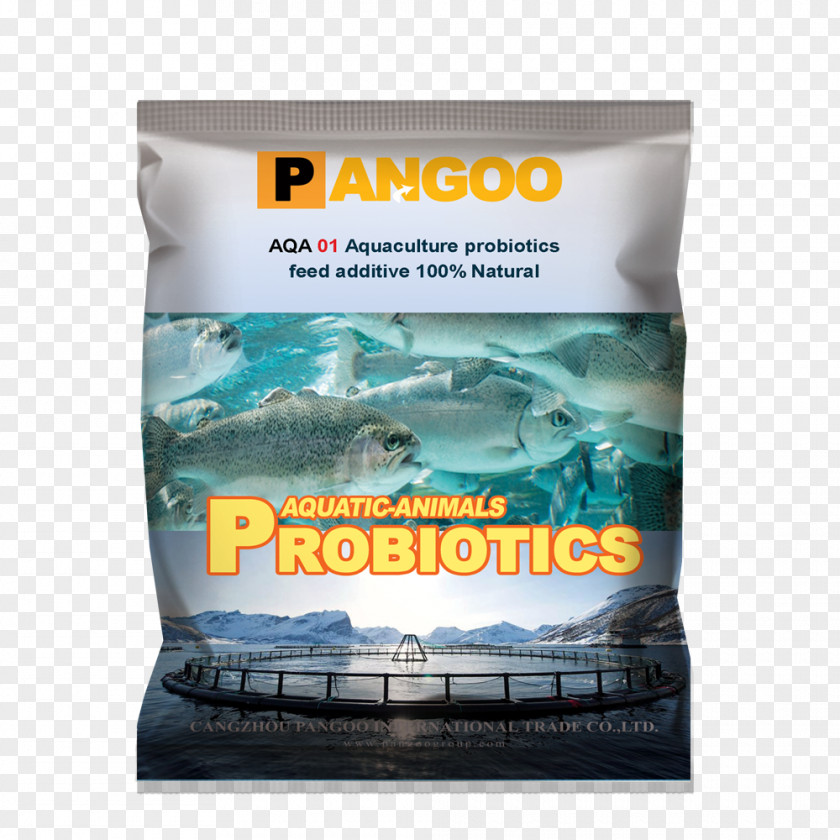 Water Aquaculture Probiotic Commercial Fish Feed PNG