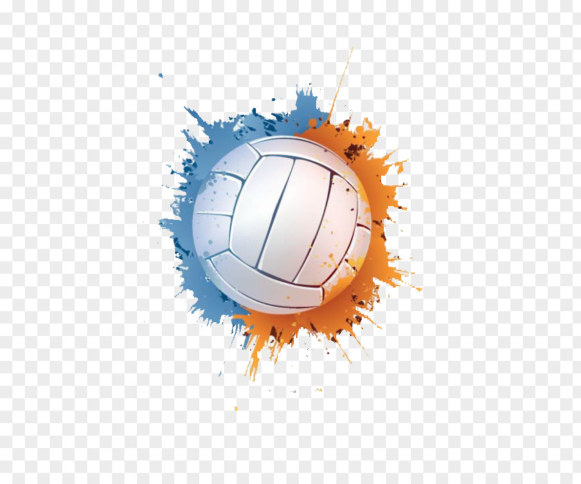 Ball Volleyball Sport PNG