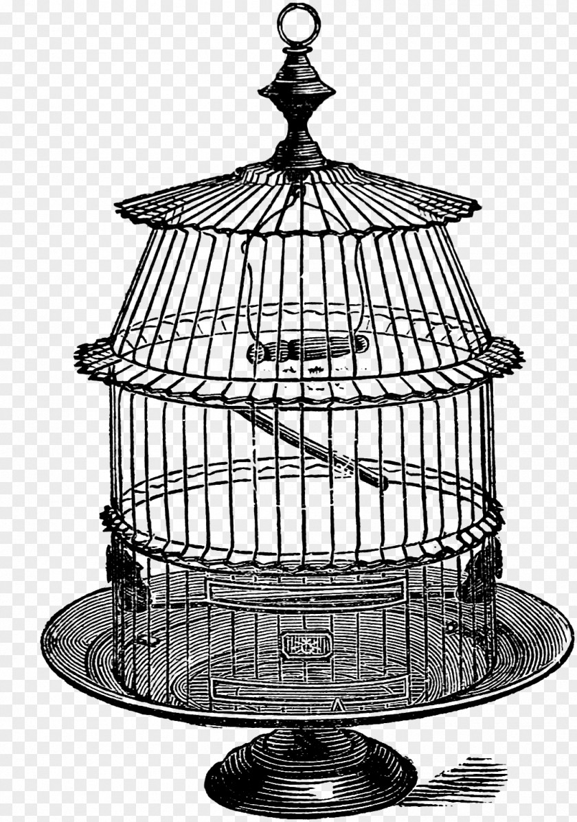 Birdcage Black And White Drawing Clip Art PNG