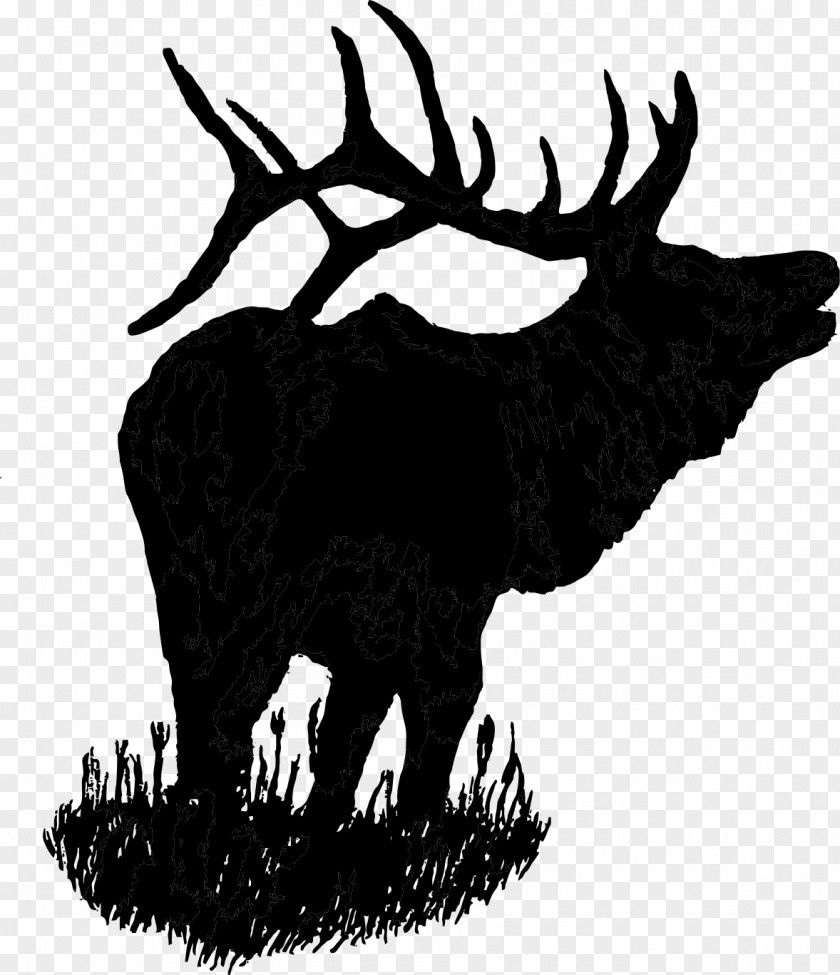 Elk Vector Reindeer Moose Antler PNG