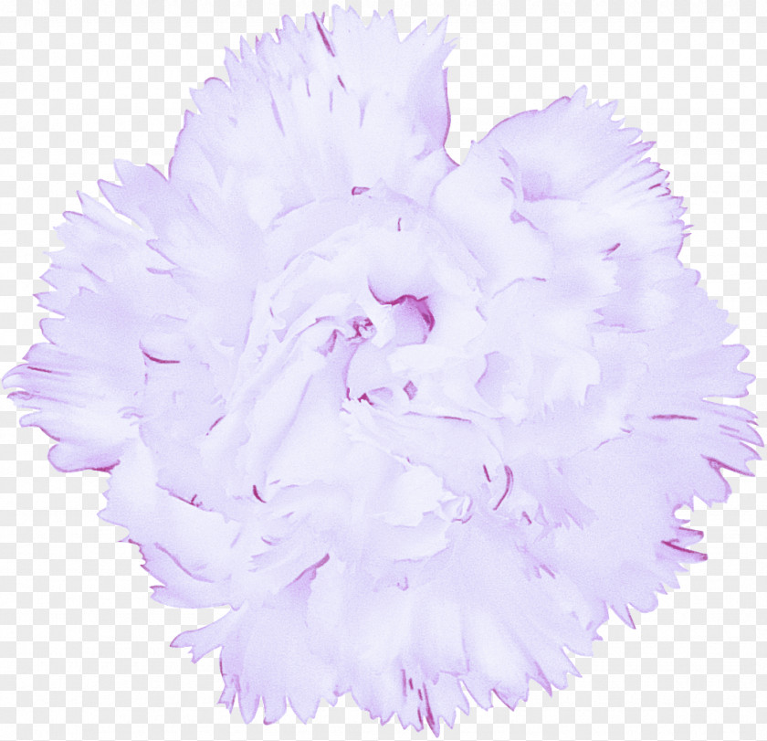 Feather Plant Lavender PNG