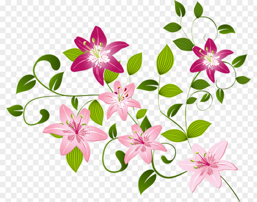 Floral Ornament Clip Art PNG