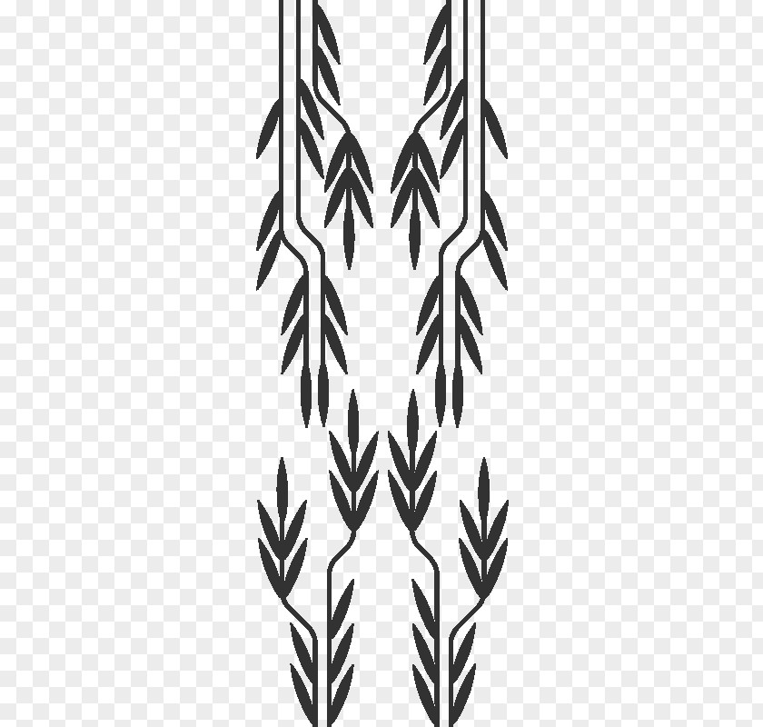 Leaf White Line Art Symmetry Flowering Plant PNG