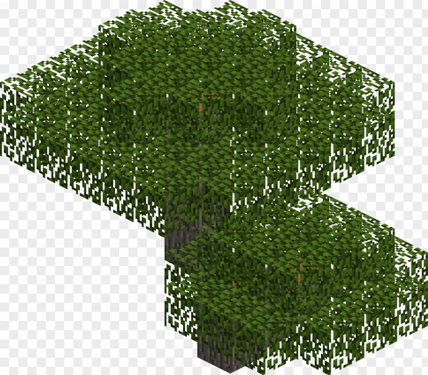 Minecraft Tree Oak Wattles Vachellia Tortilis PNG