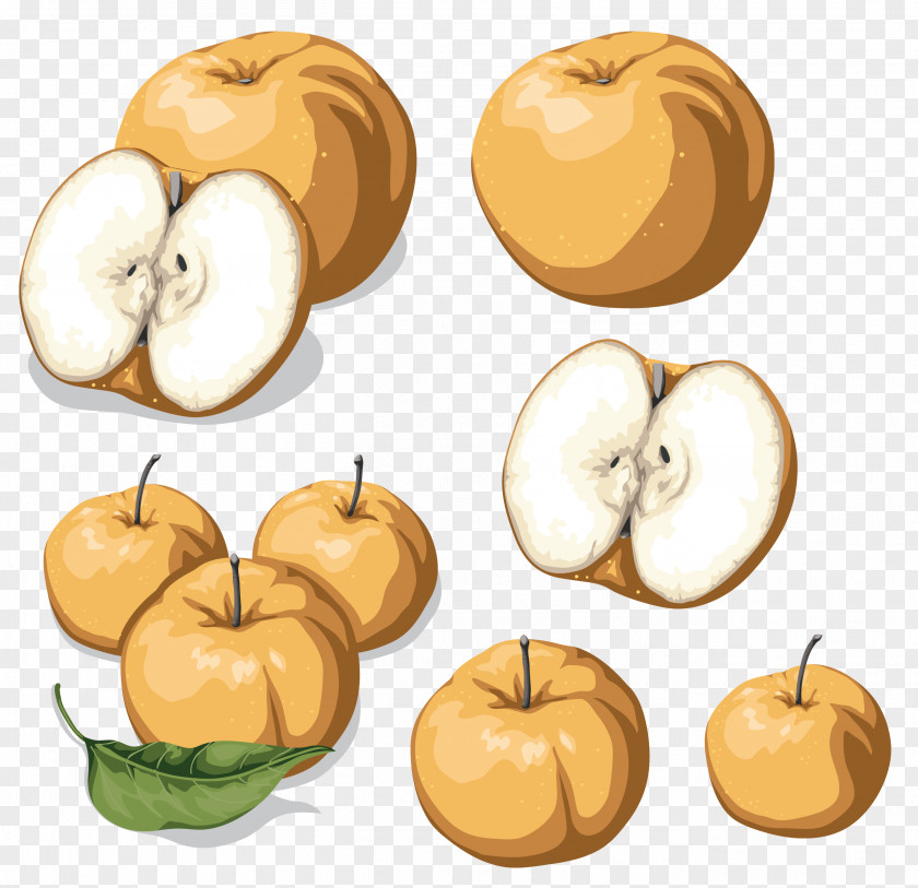 Fruit Pattern Apple PNG