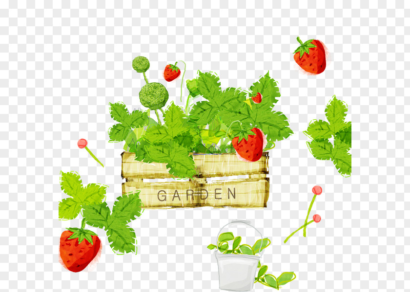 Hand-painted Strawberry Pie Shortcake PNG