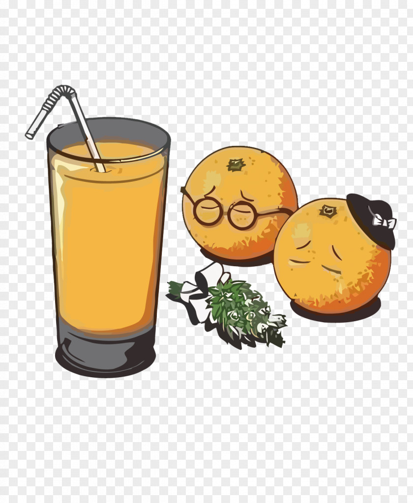 Orange Juice Funeral Fruit PNG