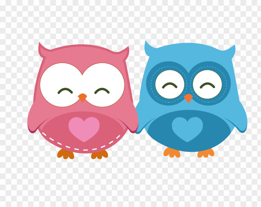 Owl Pairs Little Drawing PNG