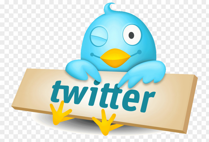 Social Media Twitter Logo Network Animation PNG