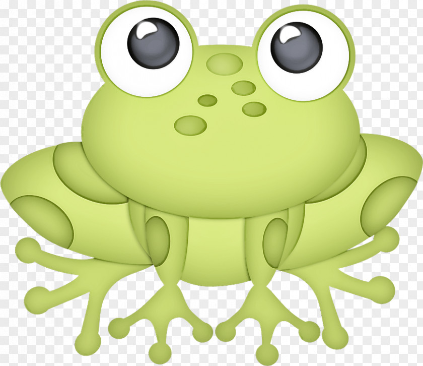 Green Cartoon Frog True PNG