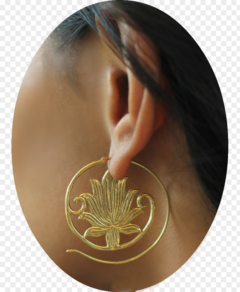 Lotus Root Ear PNG