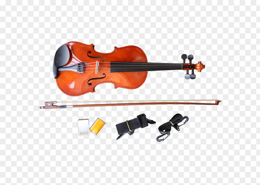 Violin Bass Viola Cello PNG