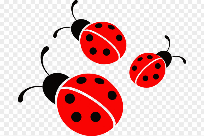 Bug Ladybird Little Ladybugs Clip Art PNG