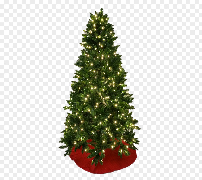 Christmas Tree Spruce Ornament Fir PNG