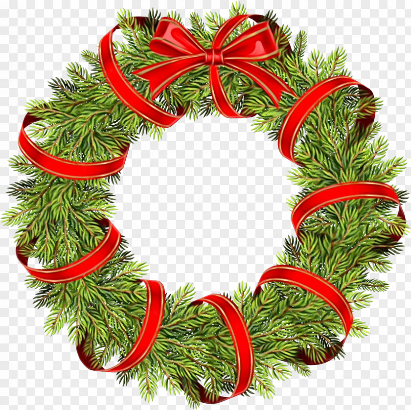 Colorado Spruce Conifer Christmas Tree Ribbon PNG