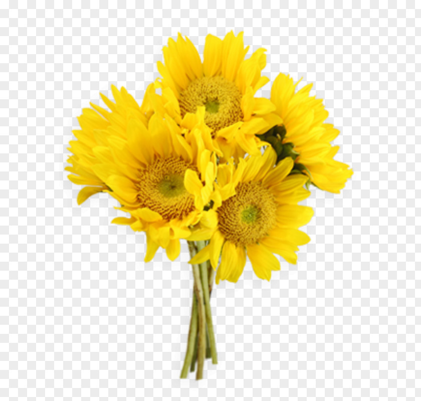 Flower Bouquet Clip Art PNG