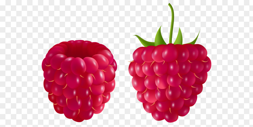 Raspberry Muffin Blackberry Clip Art PNG