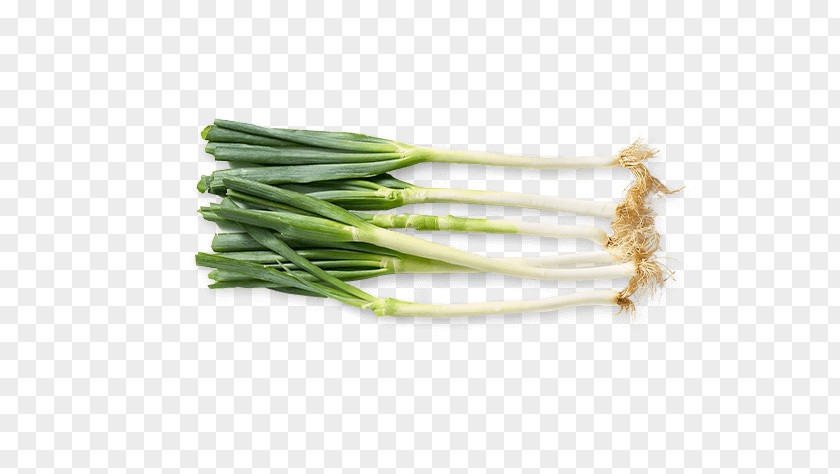 Spring Onion Allium Fistulosum Vegetarian Cuisine Welsh Leek Scallion PNG