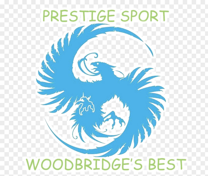Wood Bridge Manassas Prestige Sport Martial Arts Karate Jujutsu PNG