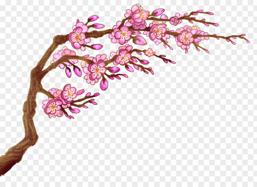Affter Effects Cherry Blossom Flower PNG